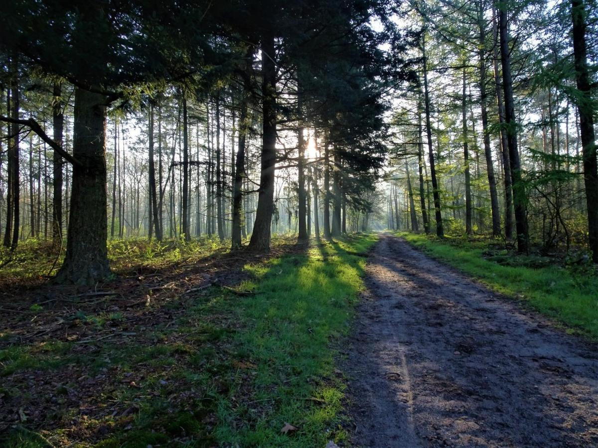 Veluwe Park Reewold Chalet Talisman Putten Ngoại thất bức ảnh
