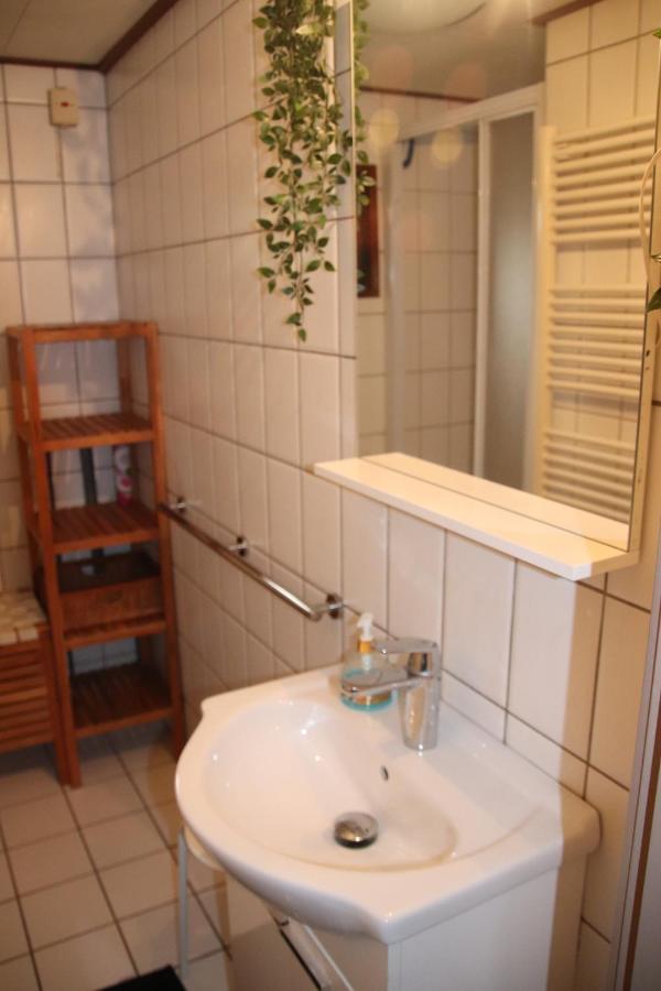 Veluwe Park Reewold Chalet Talisman Putten Ngoại thất bức ảnh